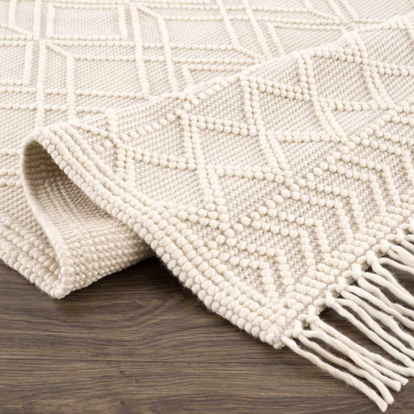 Hauteloom Leonardtown LNRD Ivory Woven/Flatwoven Cotton Rug