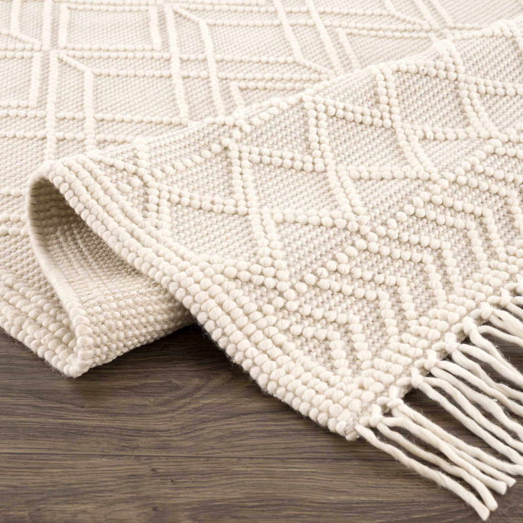 Hauteloom Leonardtown LNRD Ivory Woven/Flatwoven Cotton Rug