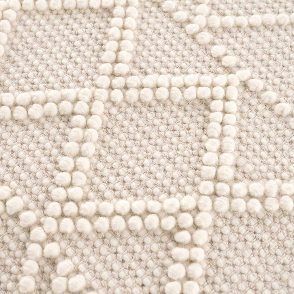 Hauteloom Leonardtown LNRD Ivory Woven/Flatwoven Cotton Rug