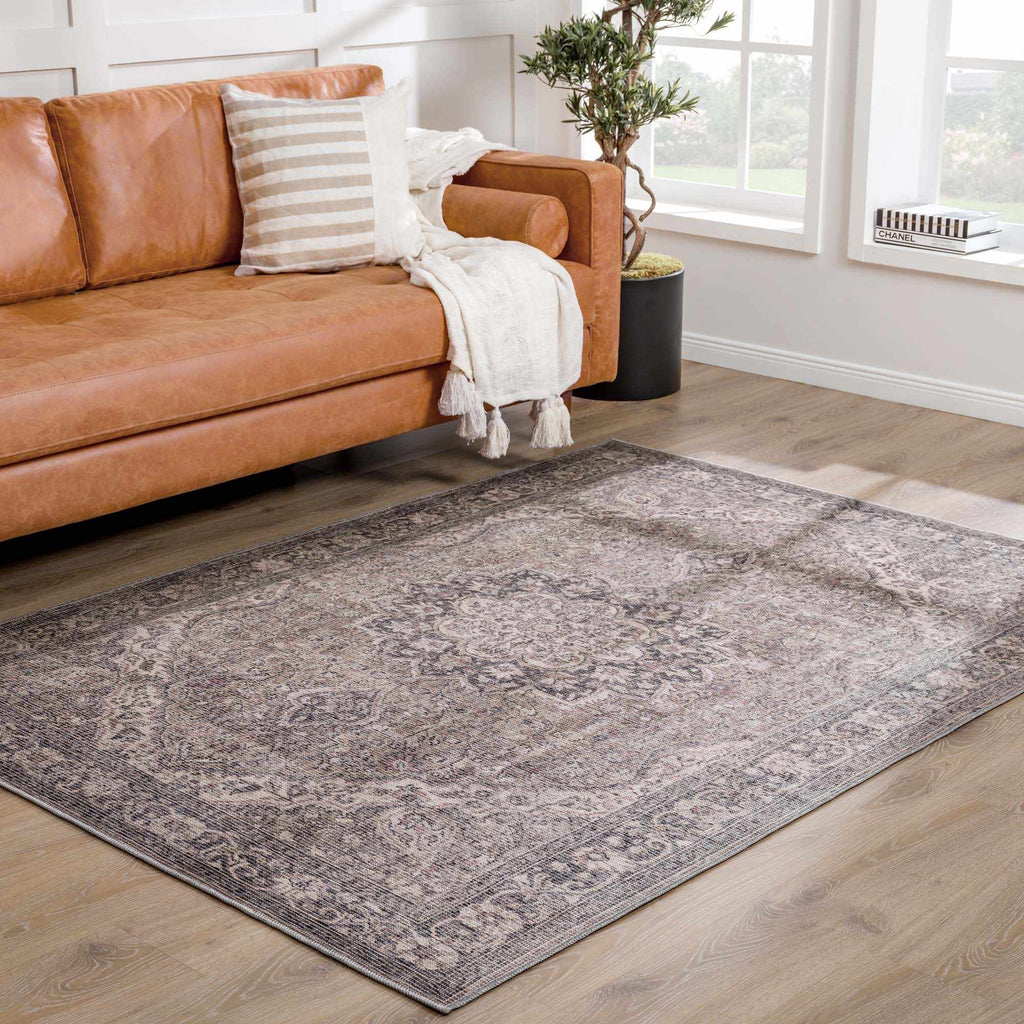 Hauteloom Greenpoint GRNPN Beige Machine Made Chenille-Polyester Rug