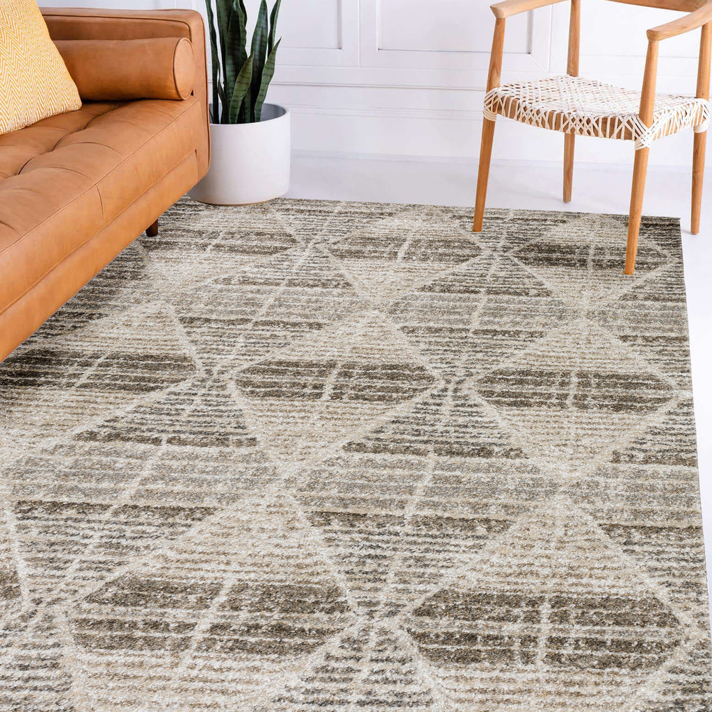 dalyn carmona co8 driftwood rug