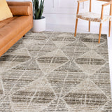 dalyn carmona co8 driftwood rug