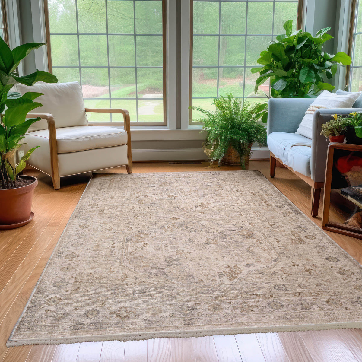 dalyn cyprus cy4 ivory rug