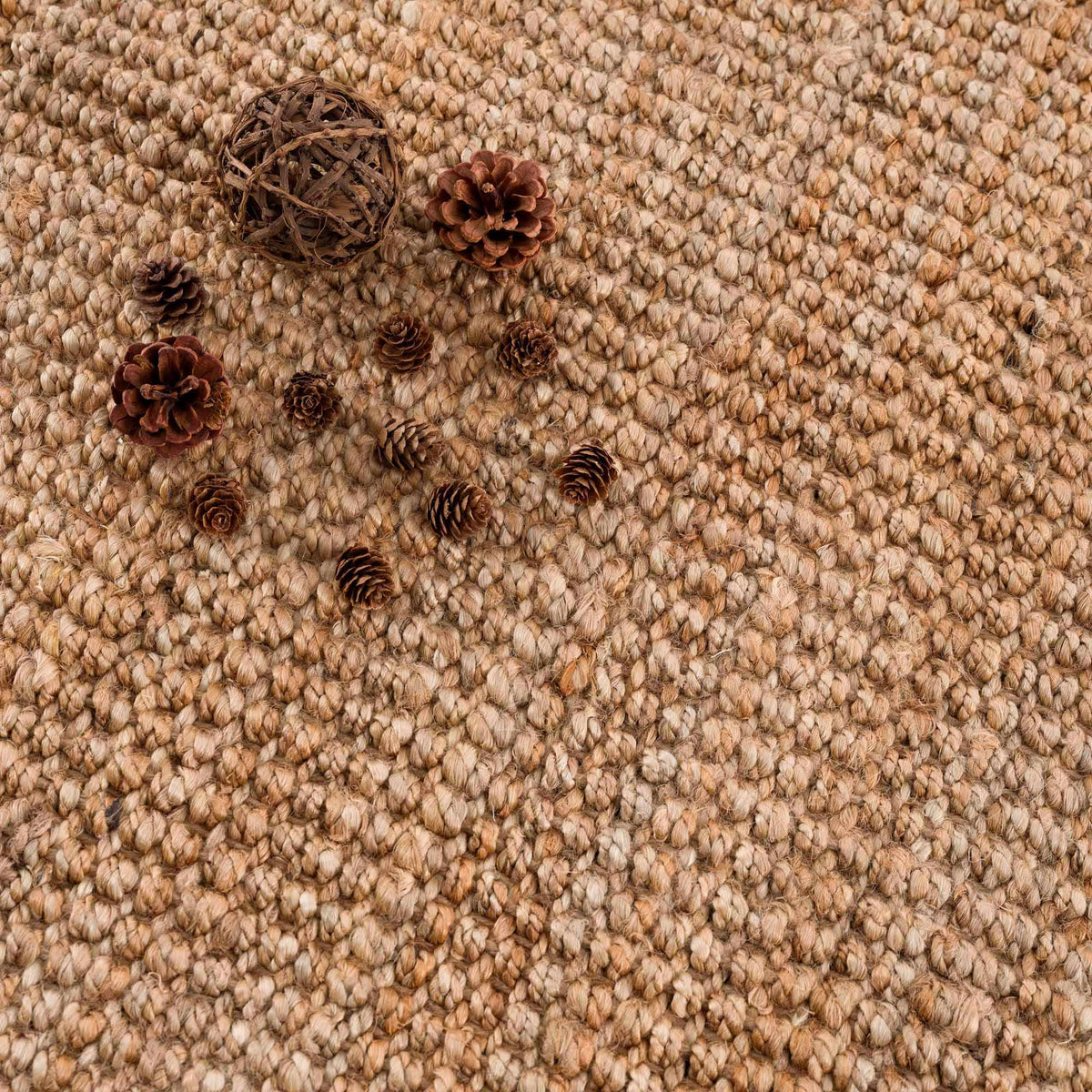 Hauteloom Moncton MONCT LightBrown Woven/Flatwoven Jute Rug
