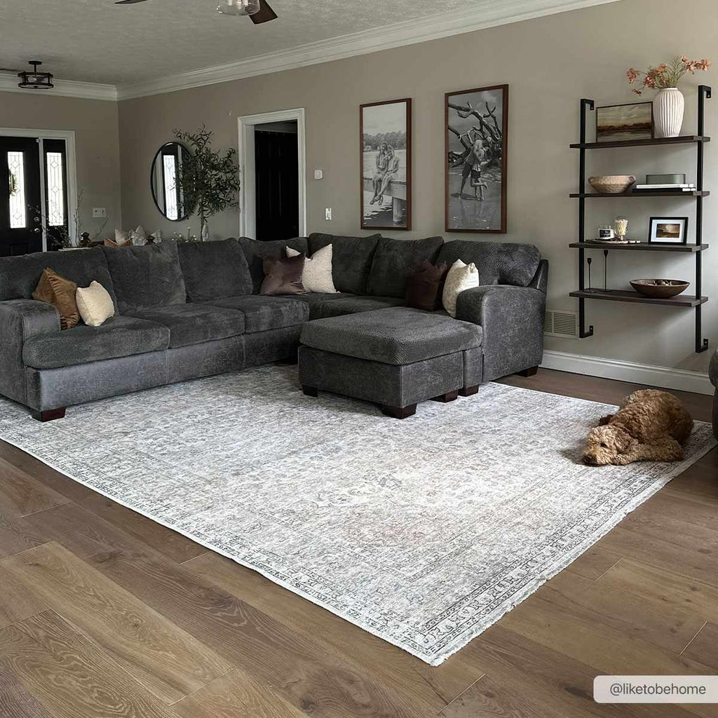 Hauteloom HOLI HOL2301 Beige Machine Made Polyester Rug