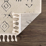 Hauteloom Thian TZFQTA1 Beige Machine Made Polypropylene Rug