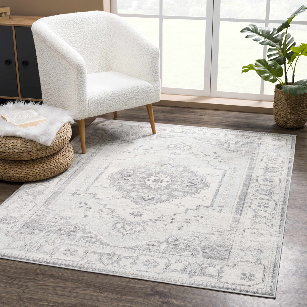 Hauteloom Tigris TGS2315 Gray Machine Made Polypropylene Rug