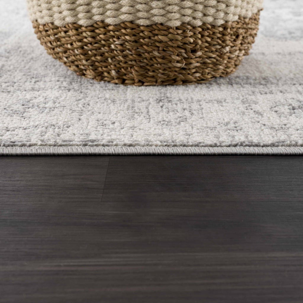 Hauteloom Tigris TGS2315 Gray Machine Made Polypropylene Rug