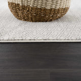 Hauteloom Tigris TGS2317 Ivory Machine Made Polypropylene Rug