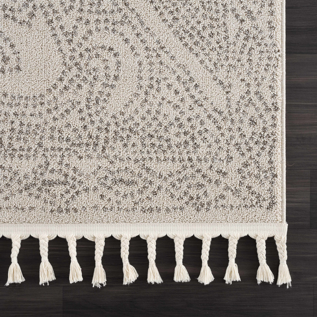 Hauteloom Birdwoody BRDWY Beige Machine Made Polypropylene Rug