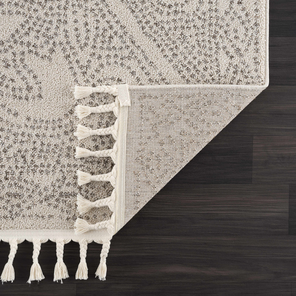 Hauteloom Birdwoody BRDWY Beige Machine Made Polypropylene Rug