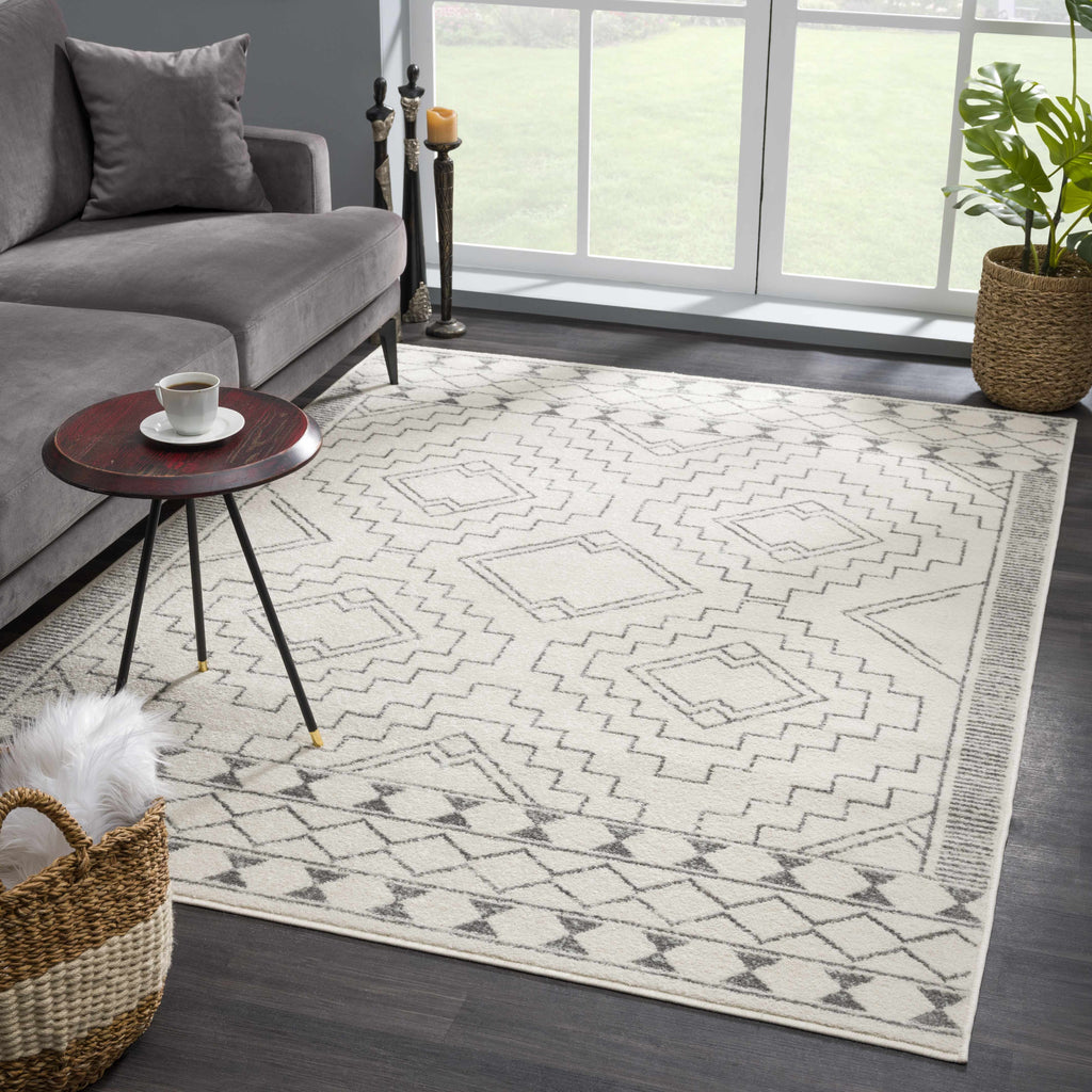 Hauteloom Limited Edition KMRSH4614 Gray Machine Made Polypropylene Rug