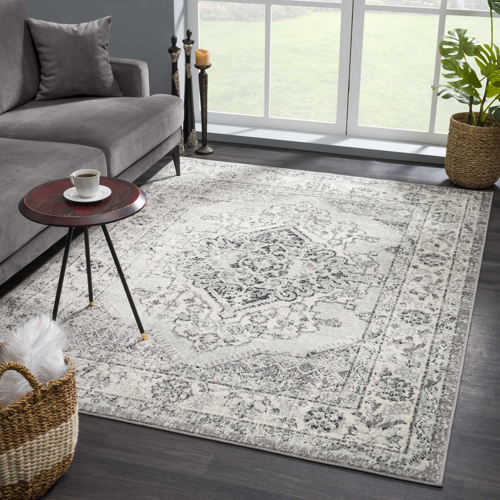 Hauteloom MARASH KMRSH4615 Gray Machine Made Polypropylene Rug