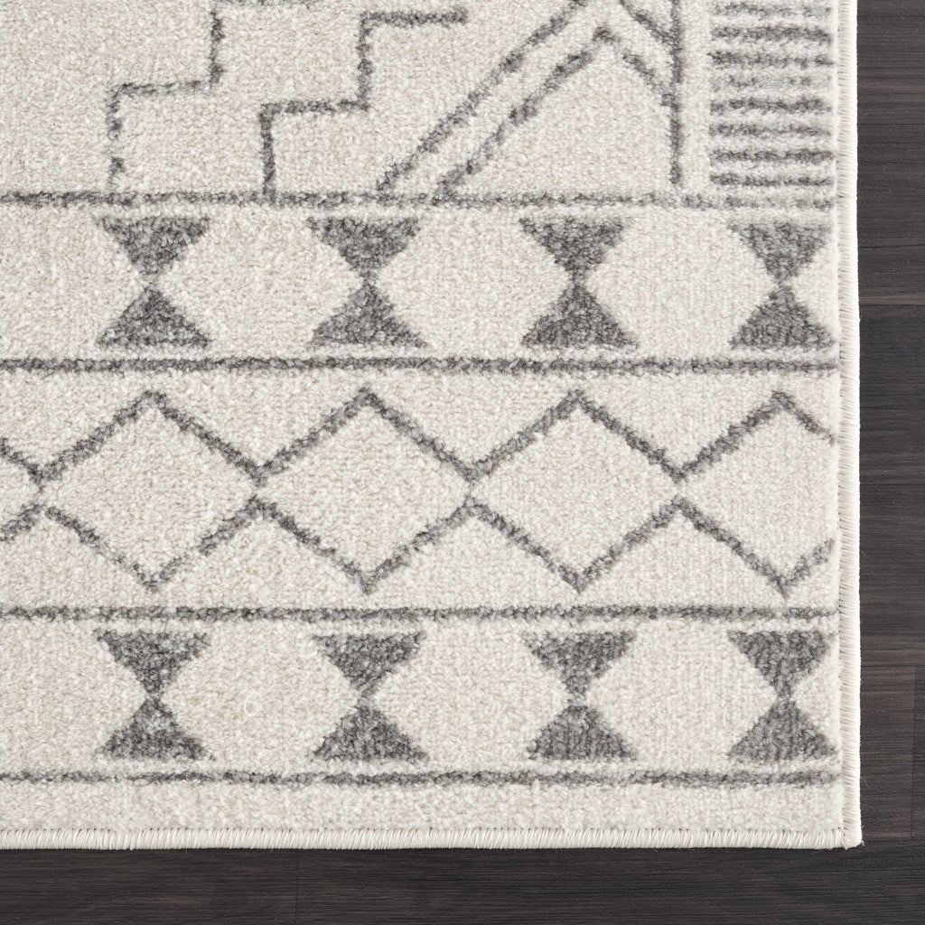 Hauteloom Limited Edition KMRSH4614 Gray Machine Made Polypropylene Rug