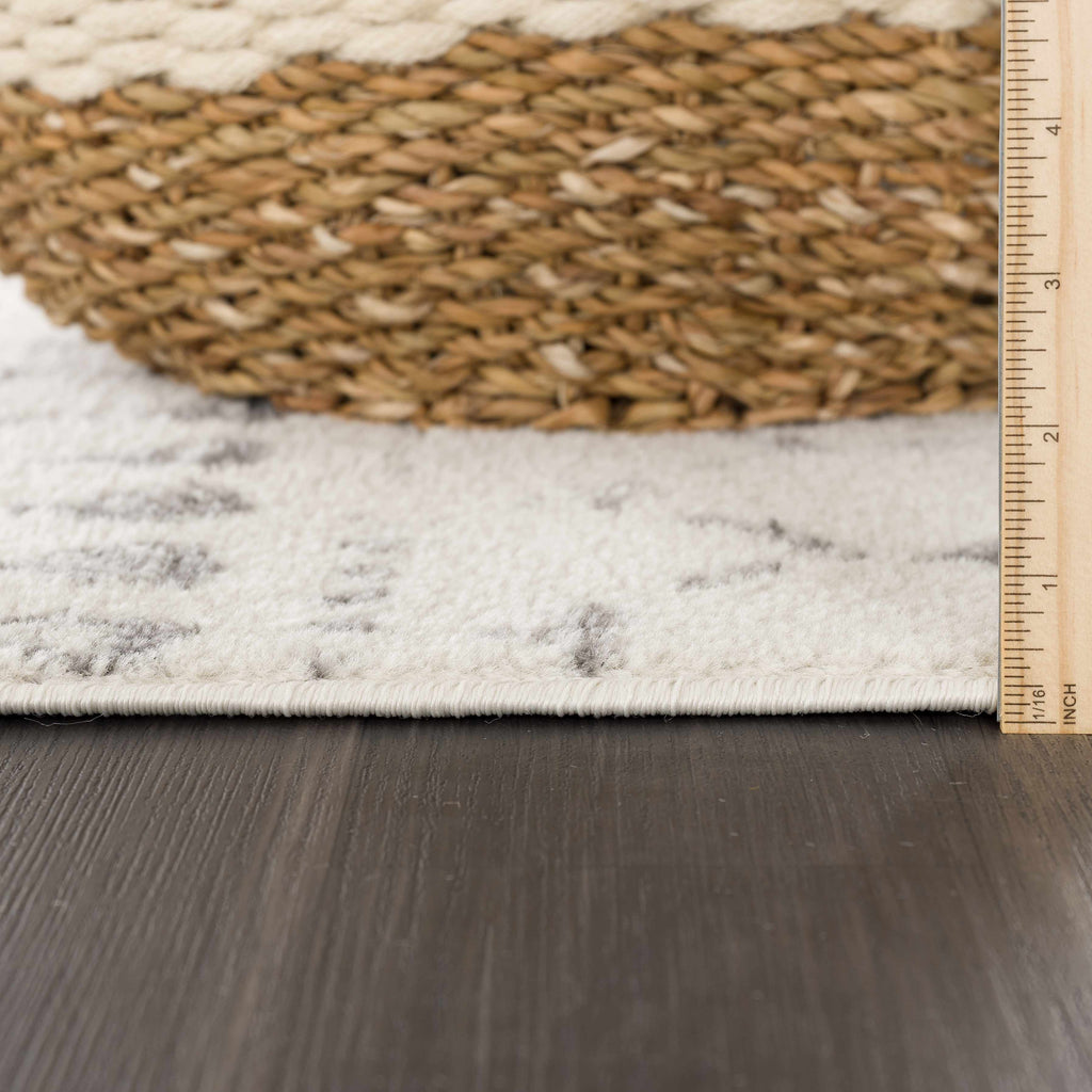 Hauteloom MARASH KMRSH4606 Gray Machine Made Polypropylene Rug