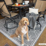 Hauteloom Limited Edition HSSODIAH8A1 Black Machine Made Polypropylene Rug