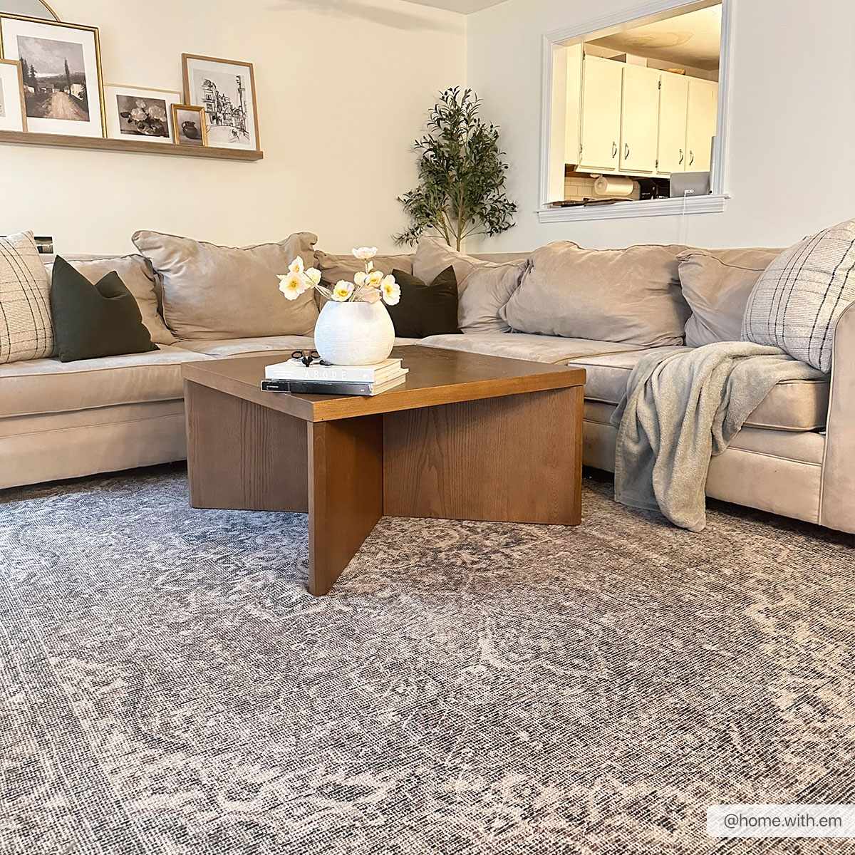 Hauteloom Greenpoint GRNPN Beige Machine Made Chenille-Polyester Rug