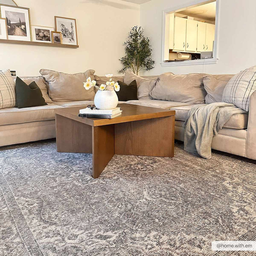 Hauteloom Greenpoint GRNPN Beige Machine Made Chenille-Polyester Rug