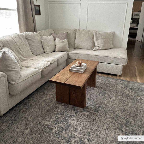 Hauteloom Greenpoint GRNPN Beige Machine Made Chenille-Polyester Rug