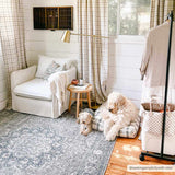 Hauteloom Greenpoint GRNPN Beige Machine Made Chenille-Polyester Rug
