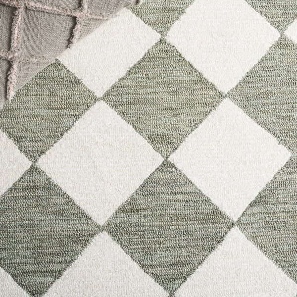 safavieh clearance ebony ebn122w sage rug