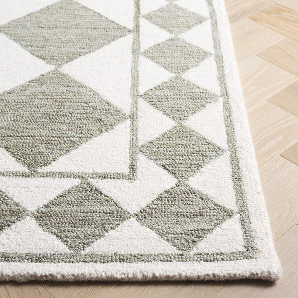 safavieh clearance ebony ebn122w sage rug