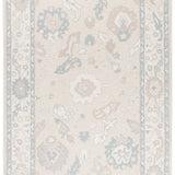 safavieh clearance ebony ebn136b beige rug