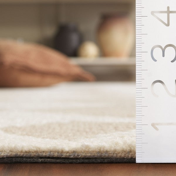 safavieh clearance ebony ebn137b beige rug