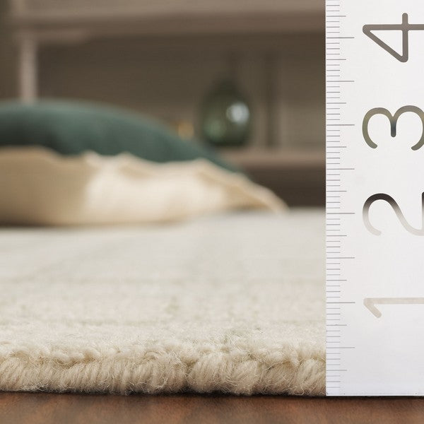 safavieh clearance ebony ebn141w sage rug