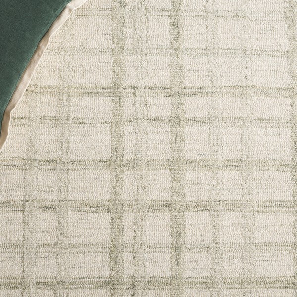 safavieh clearance ebony ebn141w sage rug