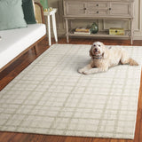safavieh clearance ebony ebn141w sage rug