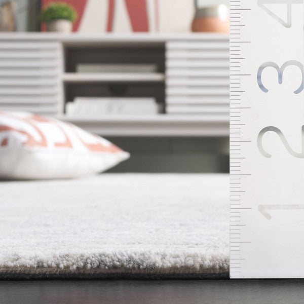 safavieh clearance ebony ebn224g ivory rug