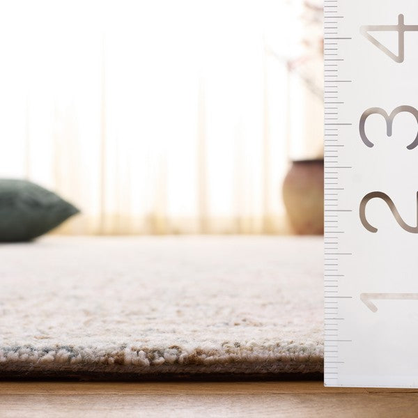 safavieh clearance ebony ebn232b beige rug