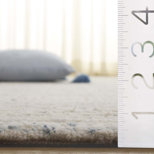 safavieh clearance ebony ebn276a ivory rug