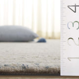 safavieh clearance ebony ebn276a ivory rug