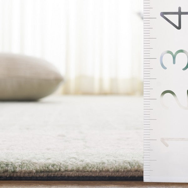 safavieh clearance ebony ebn278y green rug