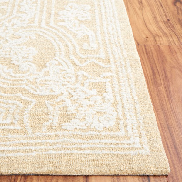 safavieh clearance ebony ebn310d ivory rug