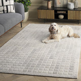 safavieh clearance ebony ebn375f grey rug