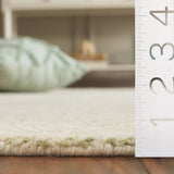 safavieh clearance ebony ebn752y green rug
