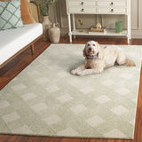 safavieh clearance ebony ebn752y green rug