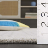 safavieh clearance ebony ebn851a ivory rug