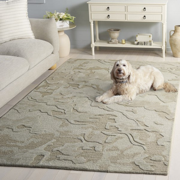safavieh clearance ebony ebn856y green rug