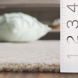 safavieh clearance ebony ebn930a ivory rug