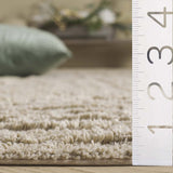 safavieh clearance easy care ecr208w sage rug