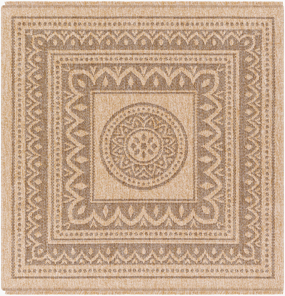 livabliss encore enc 2302 tan rug