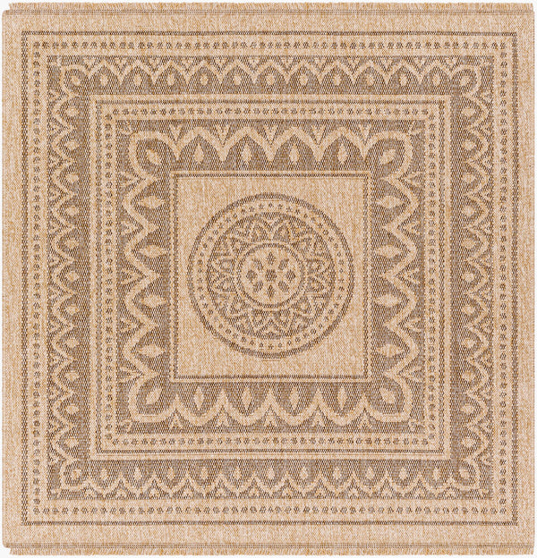 livabliss encore enc 2302 tan rug