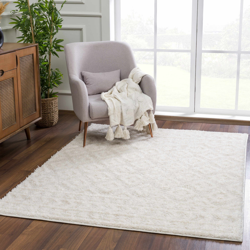 Hauteloom Eivin HRDOEIVINA1 Cream Machine Made Polyester Rug