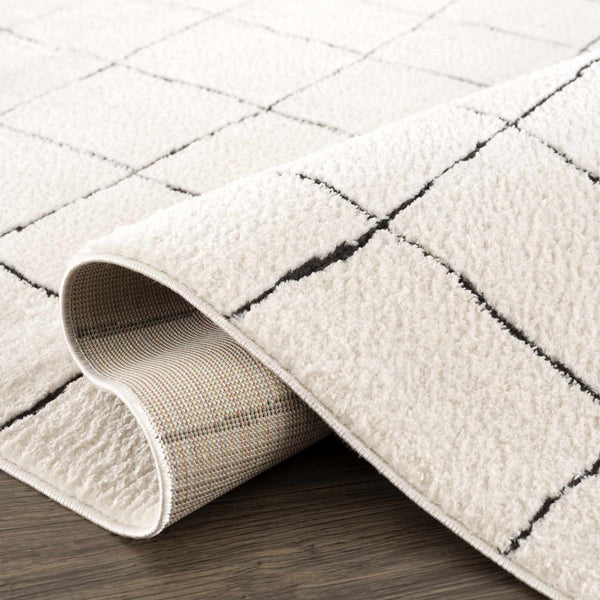 Hauteloom Limited Edition SFEBKEANUA1 Beige Machine Made Polyester Rug