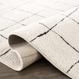 Hauteloom Limited Edition SFEBKEANUA1 Beige Machine Made Polyester Rug