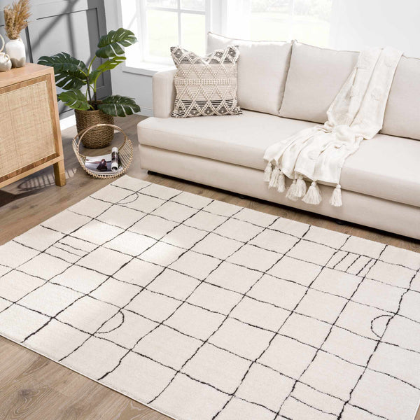 Hauteloom Limited Edition SFEBKEANUA1 Beige Machine Made Polyester Rug